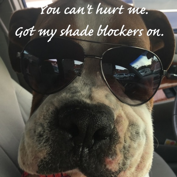 Meet your Posher, Josh - Picture 1 of 1